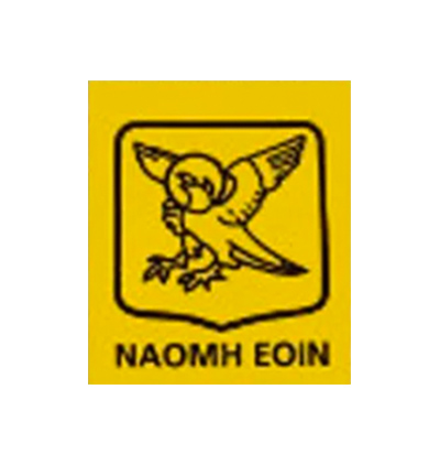 Naomh Eoin GAA
