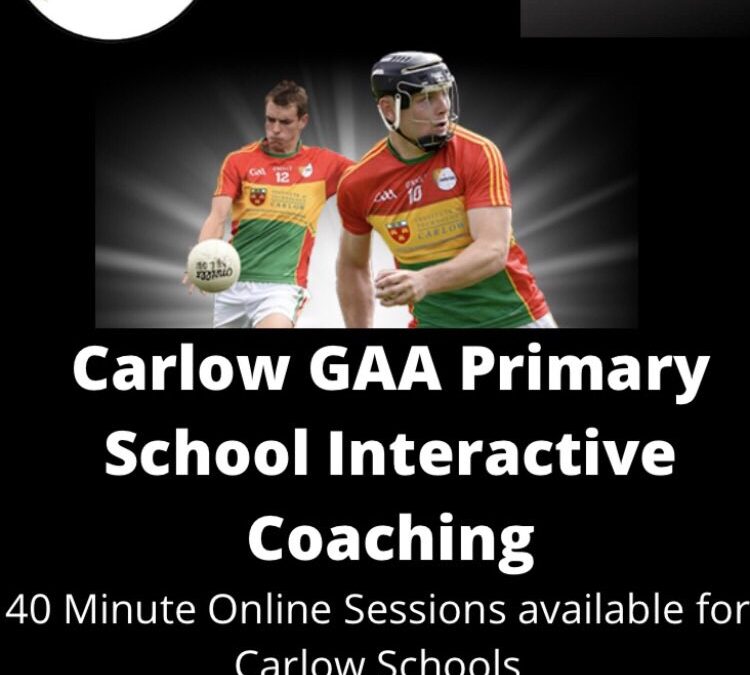 Online GAA Lessons for Primary Schools