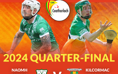 AIB Leinster Club Senior Hurling Championship 2024 Quarter-Final