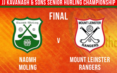 JJ Kavanagh & Sons Senior Hurling Championship Final