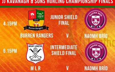 JJ Kavanagh & Sons Hurling Championship Shield Final