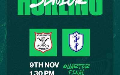 AIB Leinster Club Senior Club Hurling Championship Quarter Final