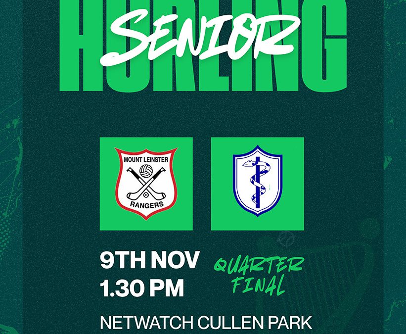 AIB Leinster Club Senior Club Hurling Championship Quarter Final